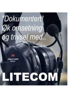 Lunds Tekniska Högskola  avd Byggkonstruksjon