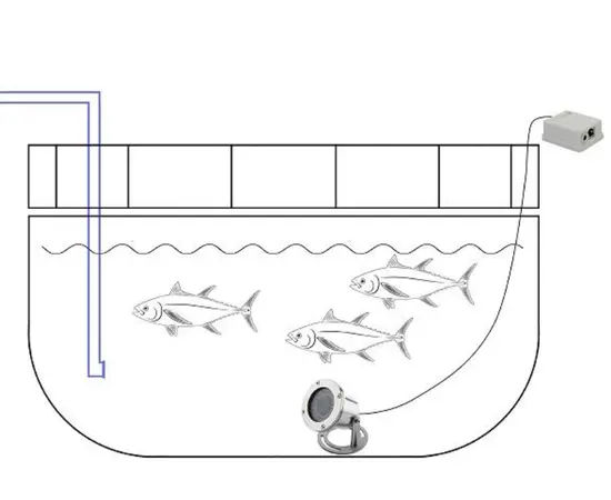 Subsea Permanent Zoom Monitor Videocamera